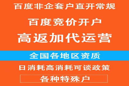 百度推广成本优化：成功案例分享