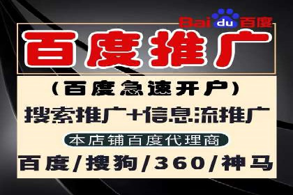 SEM推广竞价托管成功案例解析